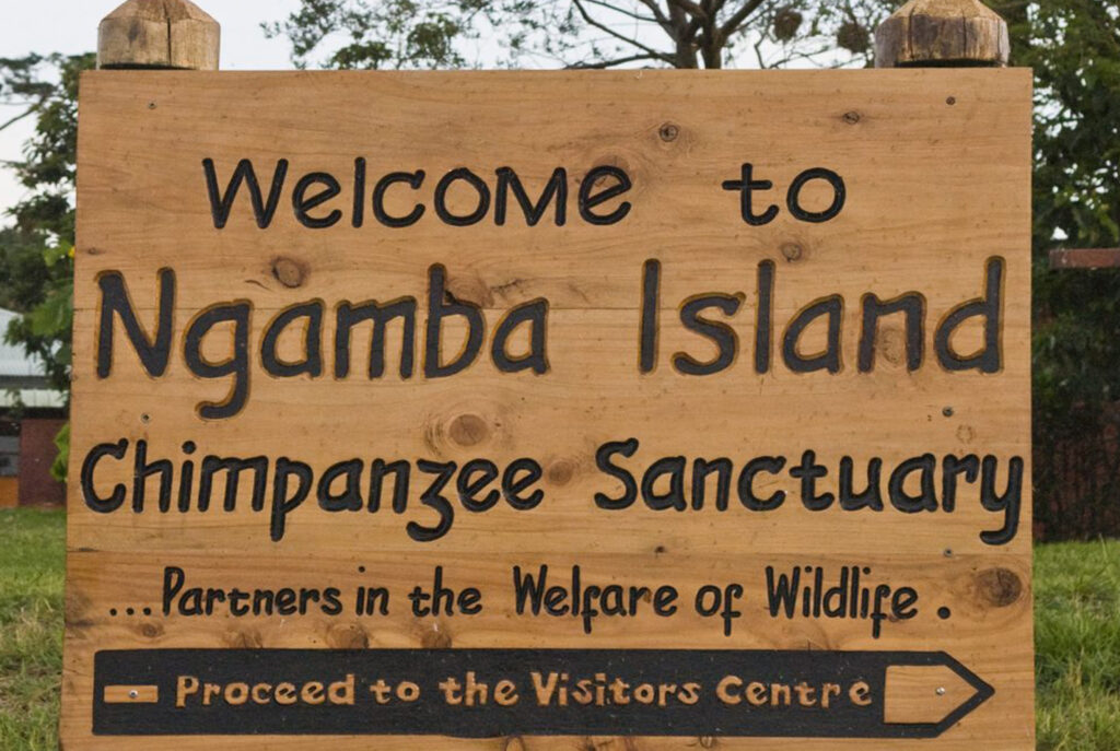 Ngamba Island 2