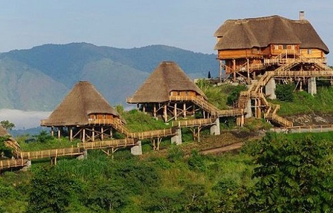 Forest view cottage near Bwindi
